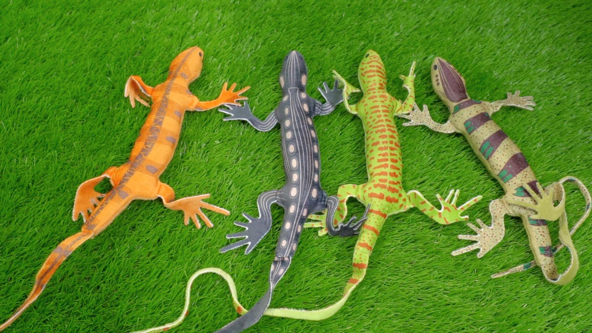 Amazon.com : CiyvoLyeen Lizard Catnip Toys Chew Bite Resistant